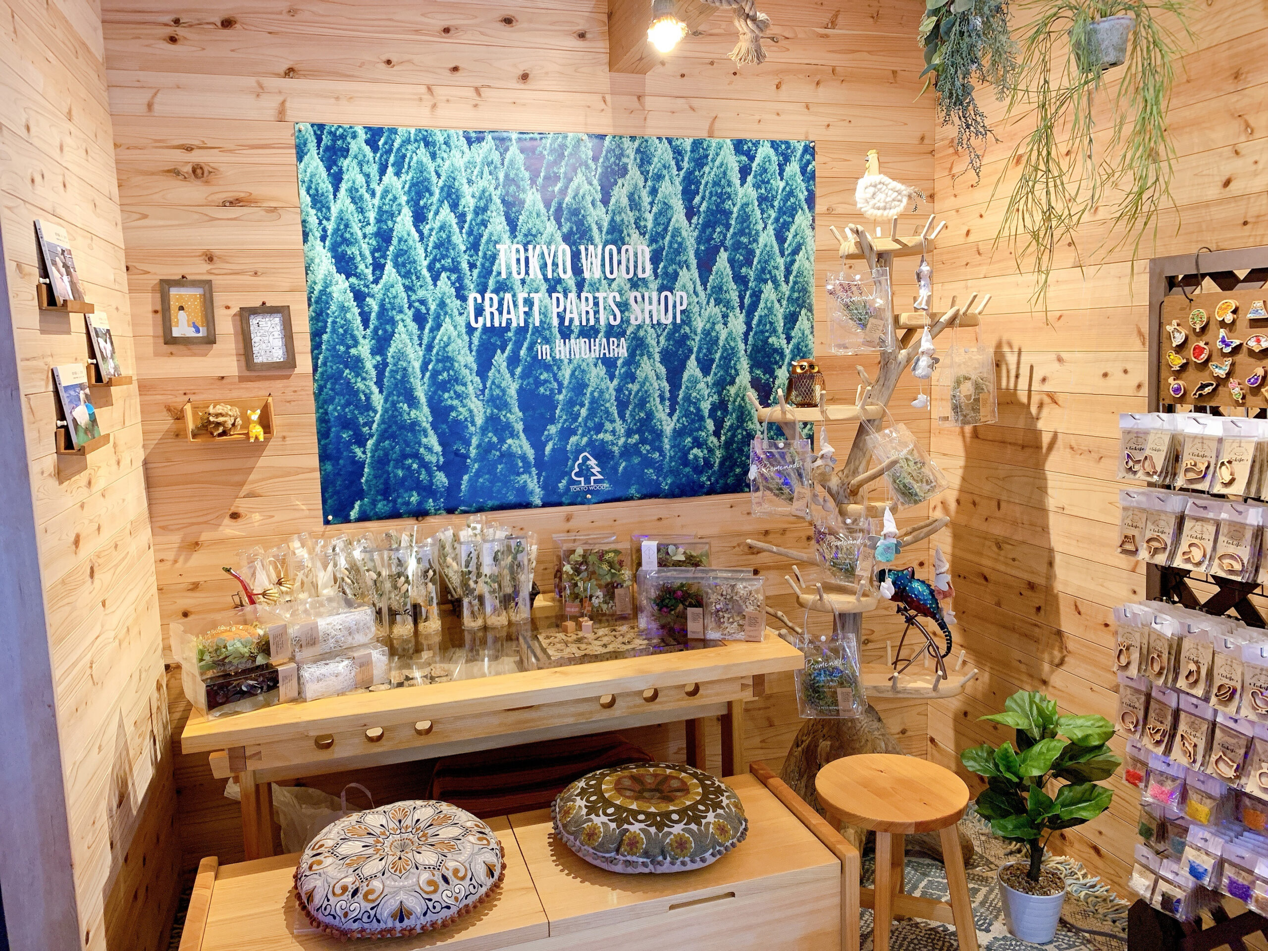 ひみつの森【Sala metsä】プレオープン！