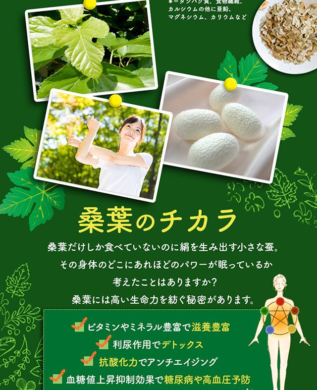 桑葉