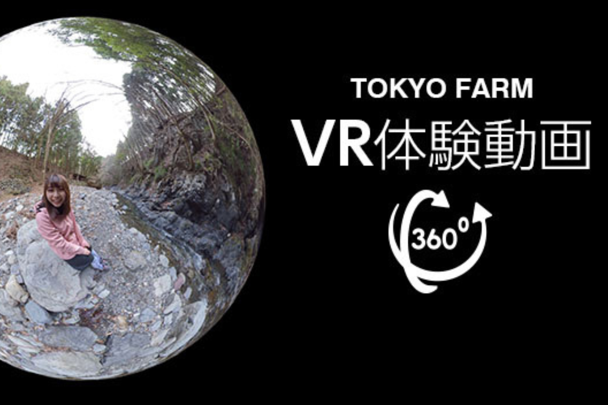 VR体験