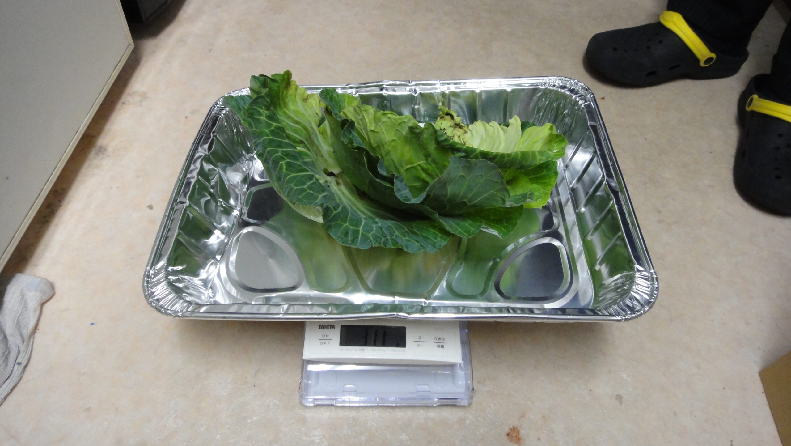 食品残渣も重要な資源