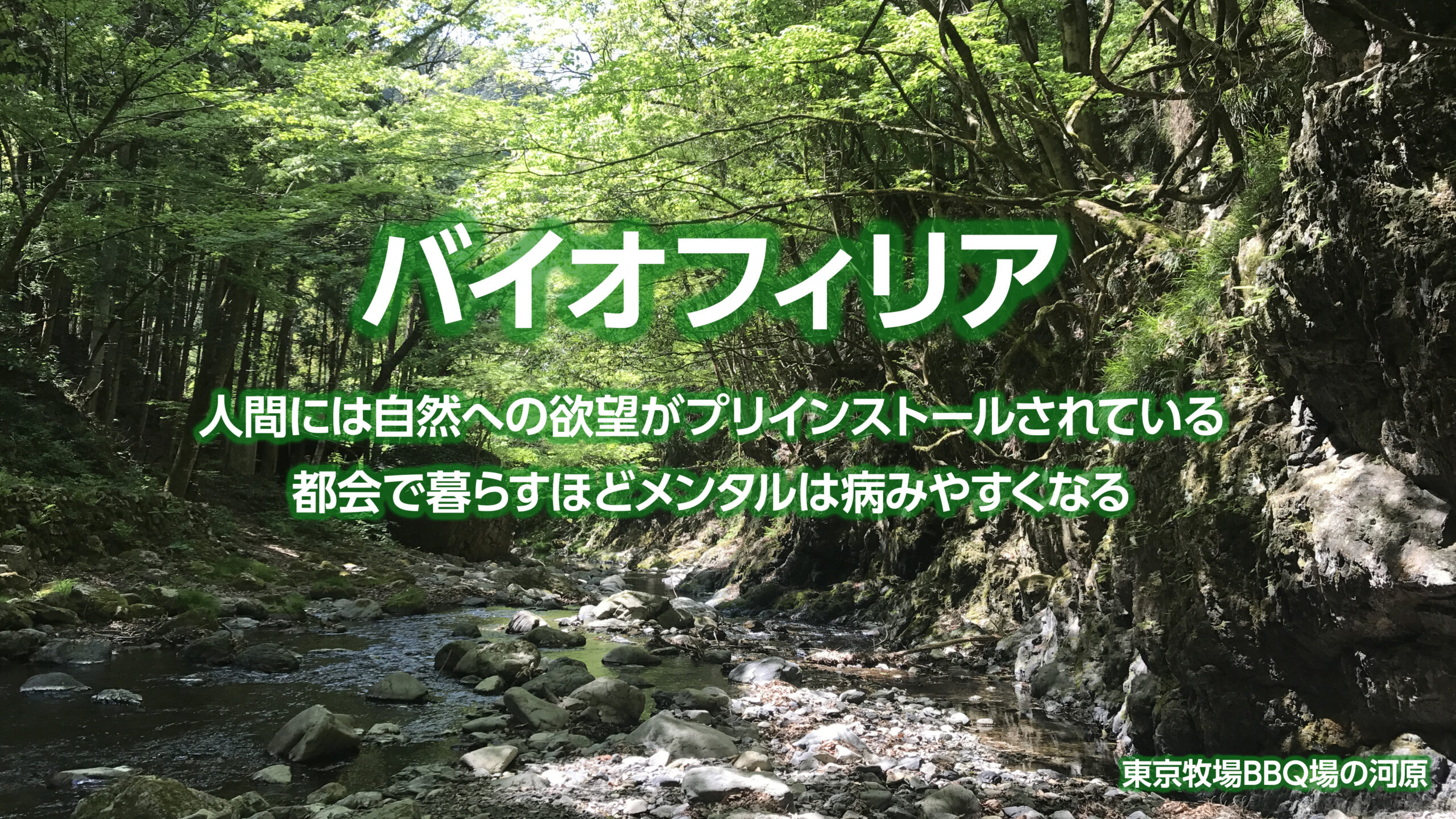 バイオフィリアとは