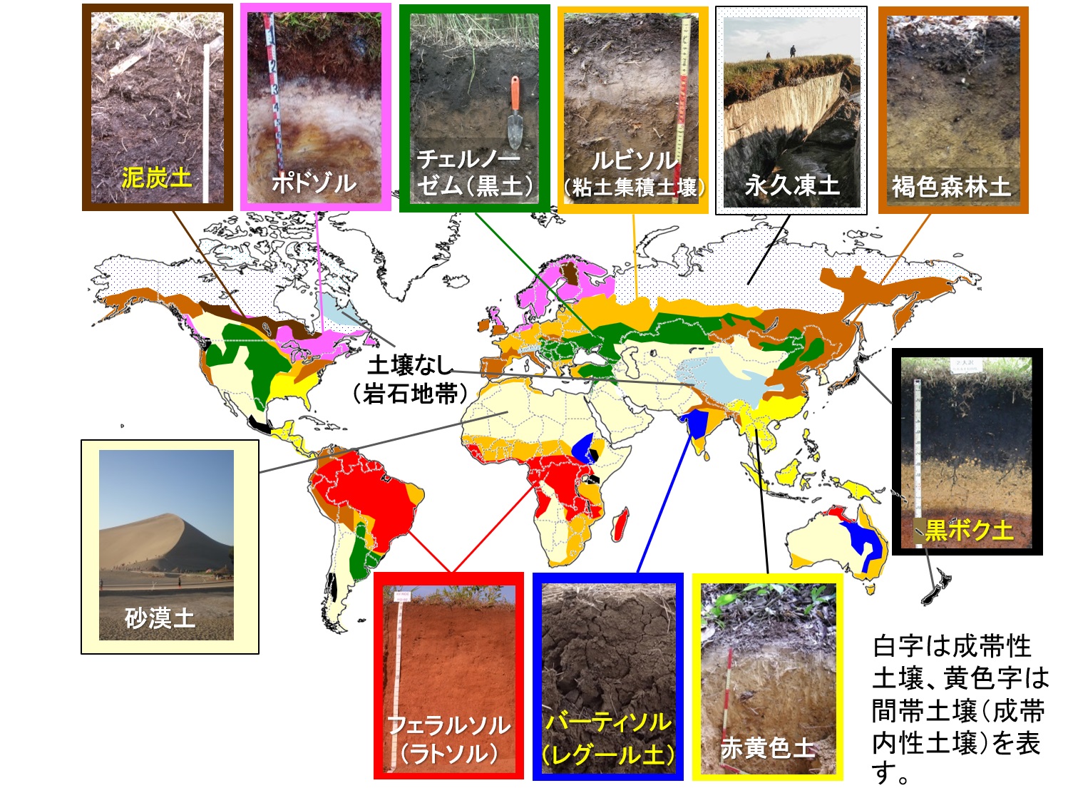 世界の土は12種類