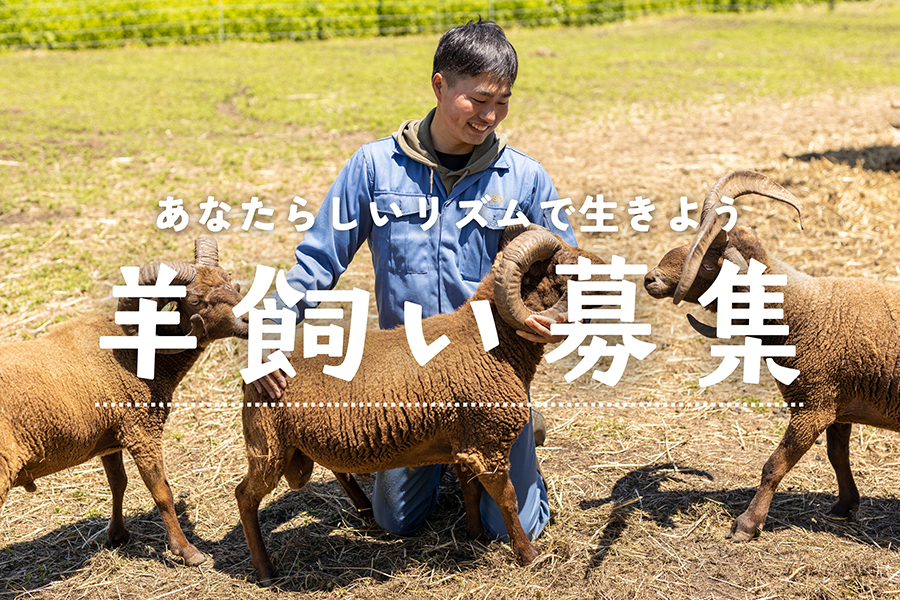 羊飼い募集 —あなたらしいリズムで生きよう—